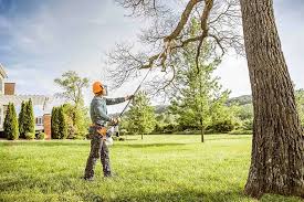 Best Hedge Trimming  in Crooked Lake Park, FL