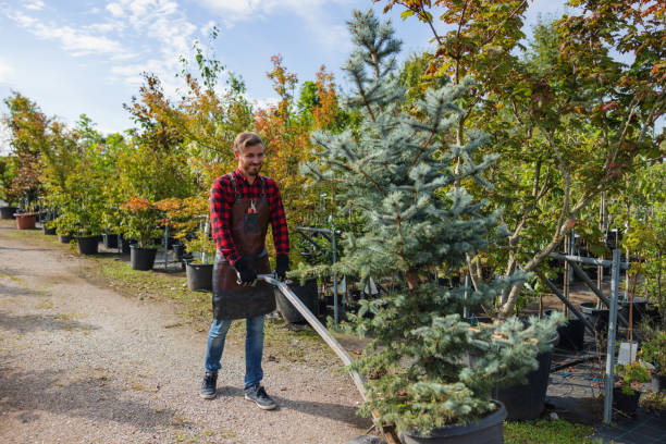 Best Leaf Removal  in Crooked Lake Park, FL