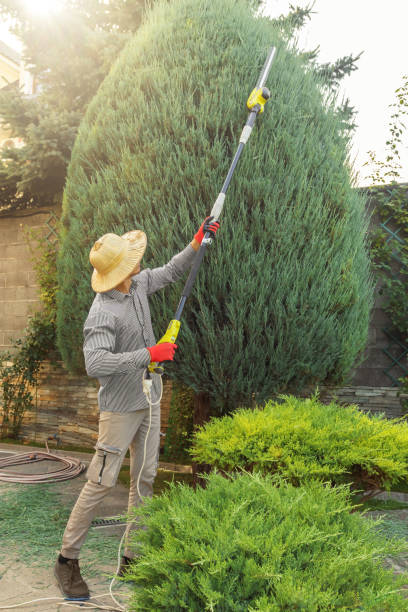 Best Tree Trimming and Pruning  in Crooked Lake Park, FL